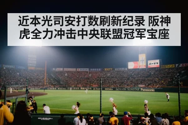 baseball stadium night crowd lights