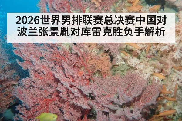 2026世界男排联赛总决赛中国对波兰张景胤对库雷克胜负手解析